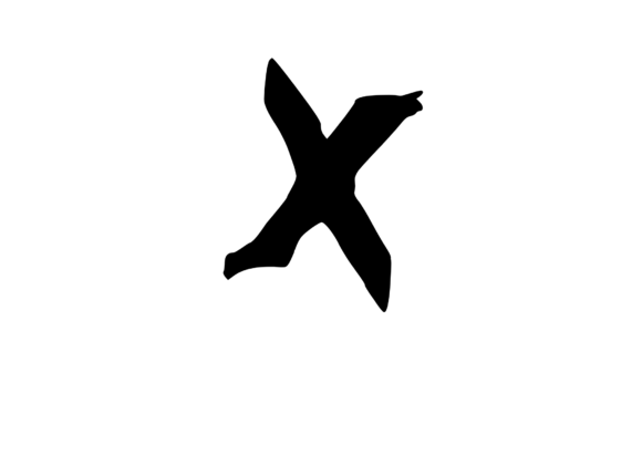 Spooky Rough Brushed Mono X Graphics for Crafts and Content